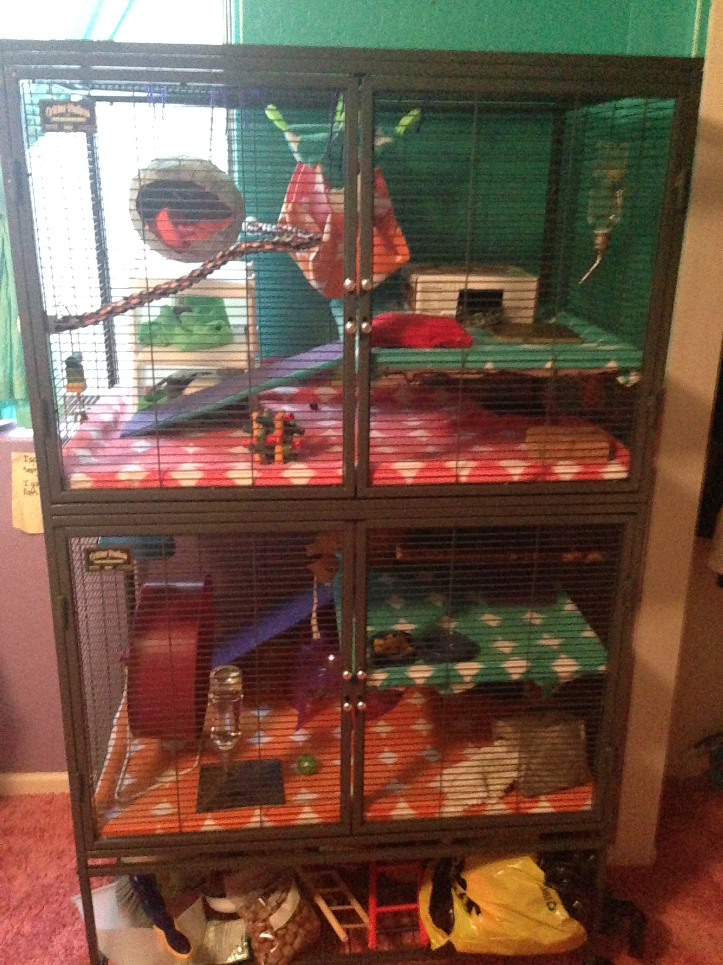 best rat cage accessories